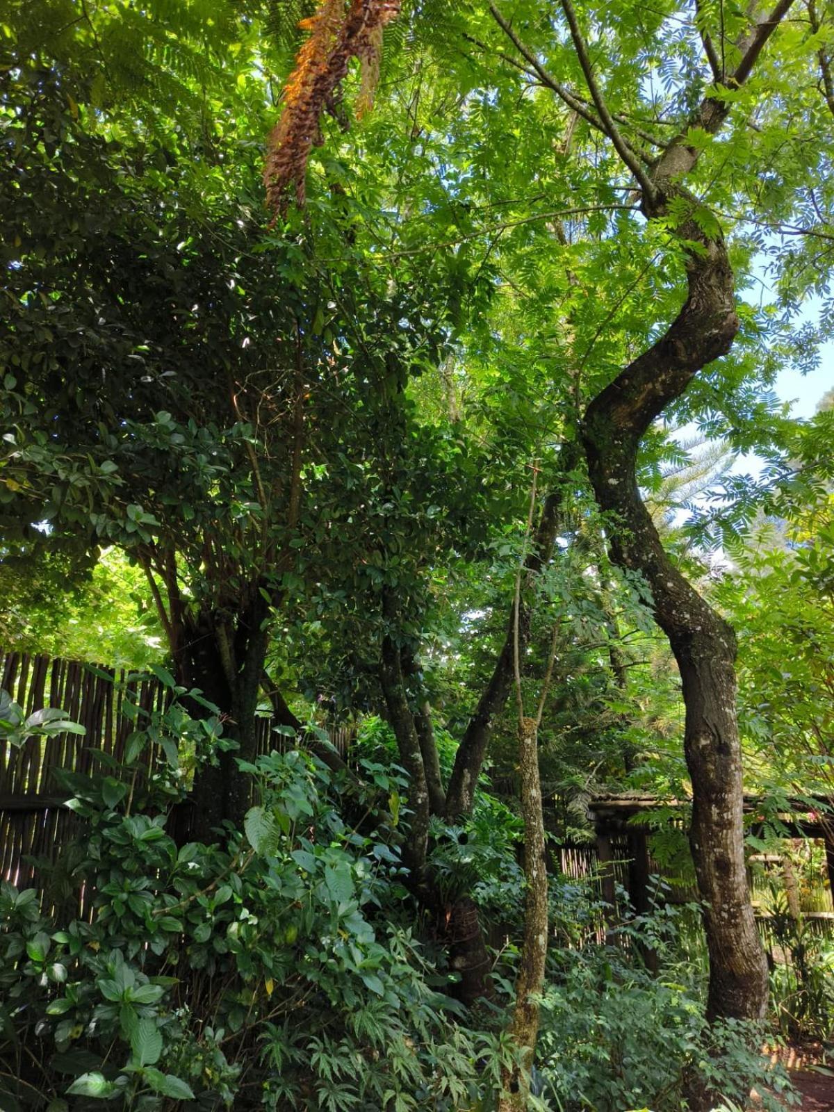 Dar Amane Bed & Breakfast